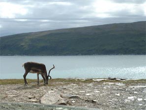 Norwegen